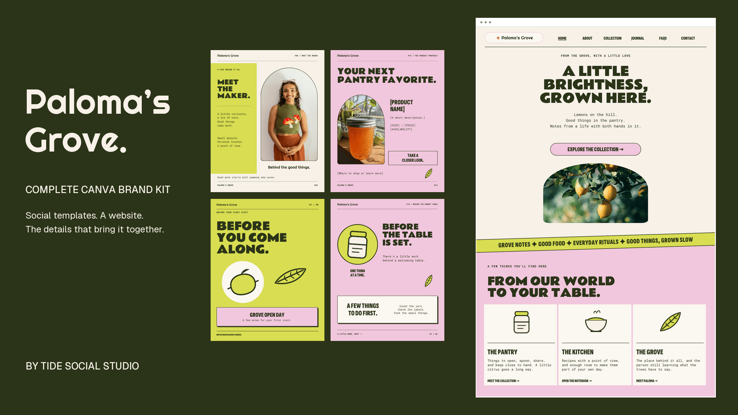 A large cream Paloma’s Grove title, four actual social templates, and a tall Home-page website preview on a solid deep olive background.